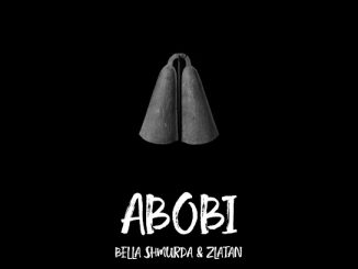 Bella Shmurda - Abobi
