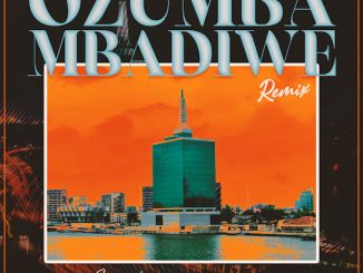 Reekado Banks - Ozumba Mbadiwe (Remix)