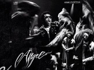 Small Doctor - Angel