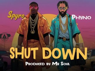 Spyro - Shutdown