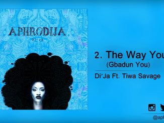 Di'Ja - The Way You Are  Gbadun You