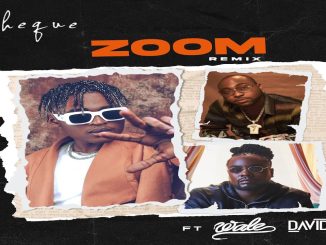 Cheque - Zoom (Remix)