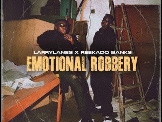 Larrylanes - Emotional Robbery Mp3 Download