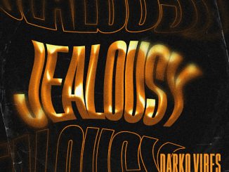 DarkoVibes - Jealousy Mp3 Download
