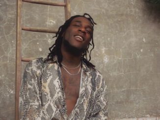 Burna Boy - On The Low Mp3 Download