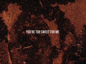 Hozier - Too Sweet Mp3 Download